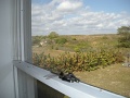 Berts Photos 11